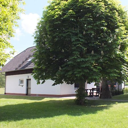Ferienhaus Moni Mit 2 Separaten Wohnungen Am Silbersee Frielendorf Eksteriør billede