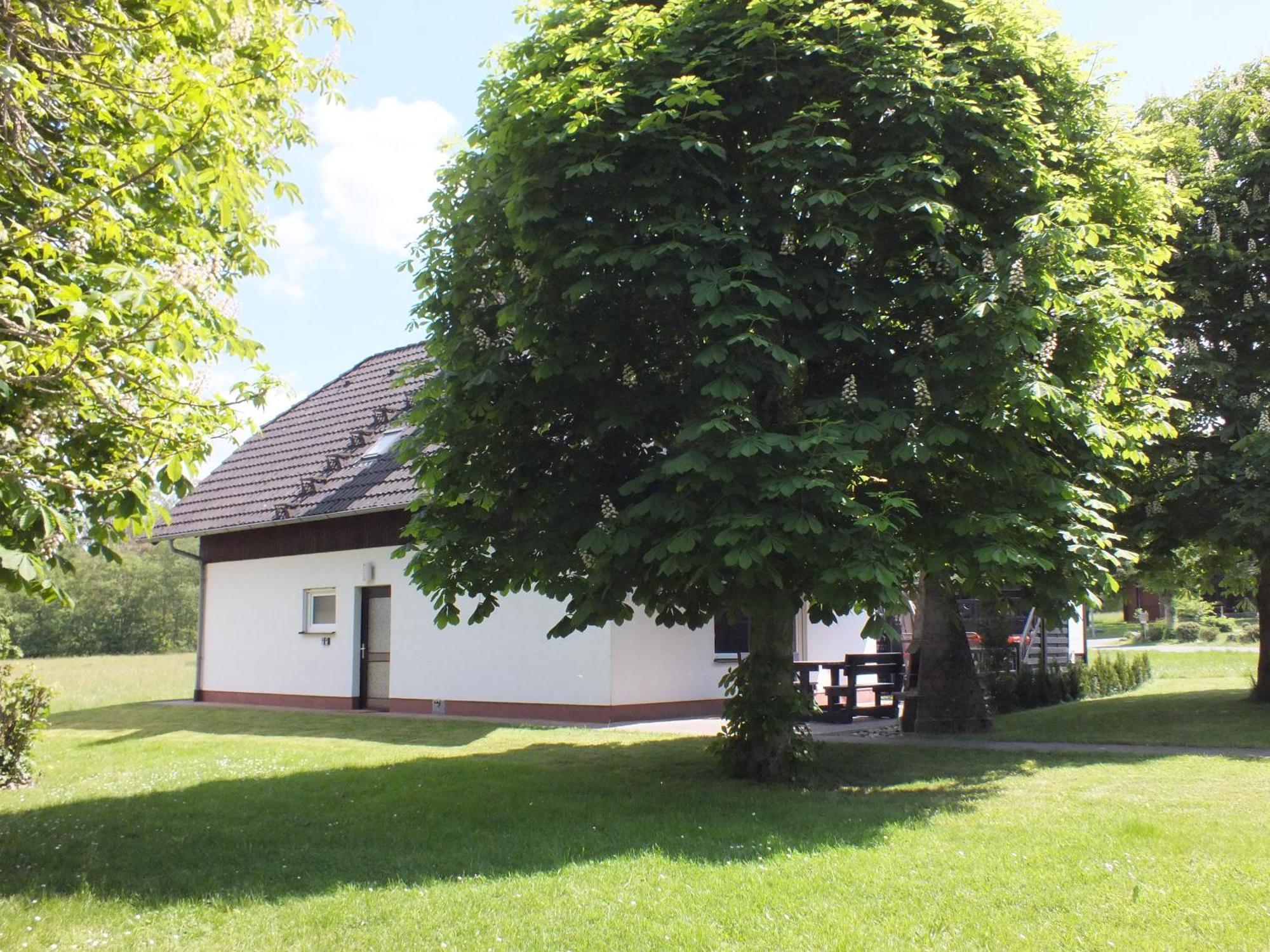 Ferienhaus Moni Mit 2 Separaten Wohnungen Am Silbersee Frielendorf Eksteriør billede